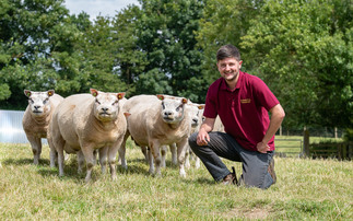 Young breeder develops Beltex from commercial to pedigree flock 