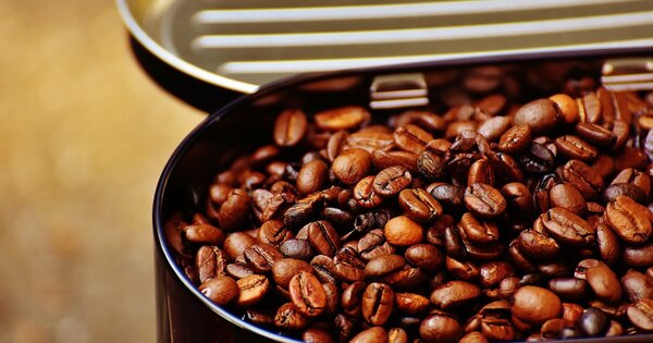 Global Briefing: Coffee prices hit record highs as climate impacts bite - Vimarsana News