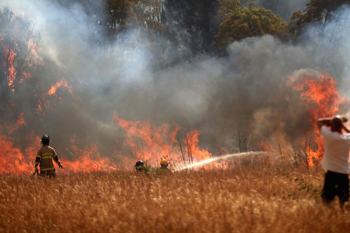 Grandes incendios forestales en Biobo, uble, La Araucana y Los Ros - Cooperativa.cl