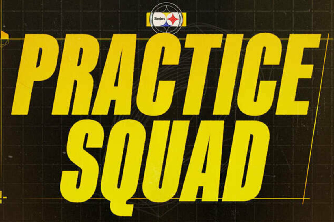 Steelers sign 16 to the practice squad