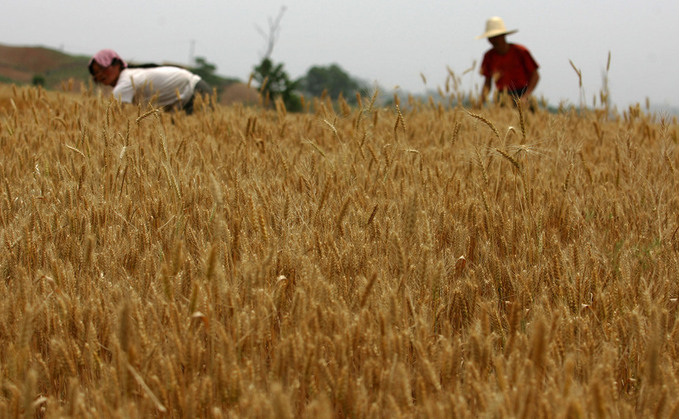 China plays the long game on food security