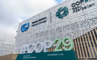 US election results, Budget review, COP16 outcomes and what to expect at COP29