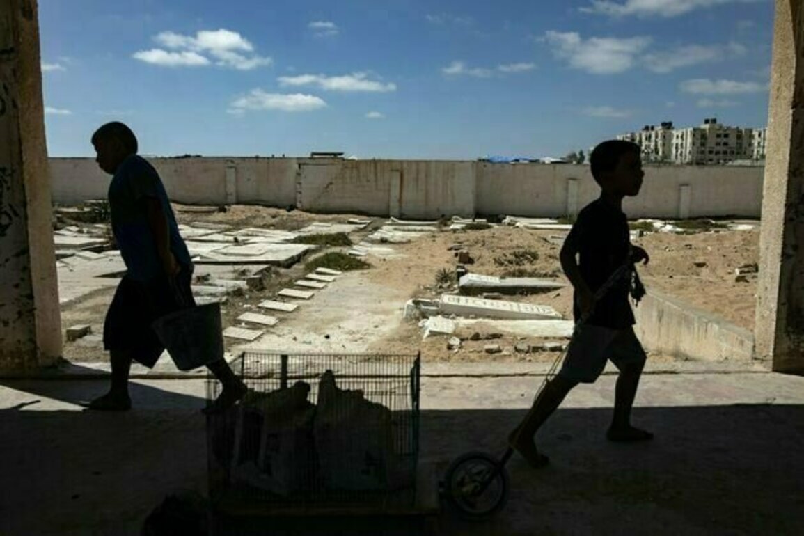 International law isn't dead. But the impunity seen in Gaza urgently needs to be addressed