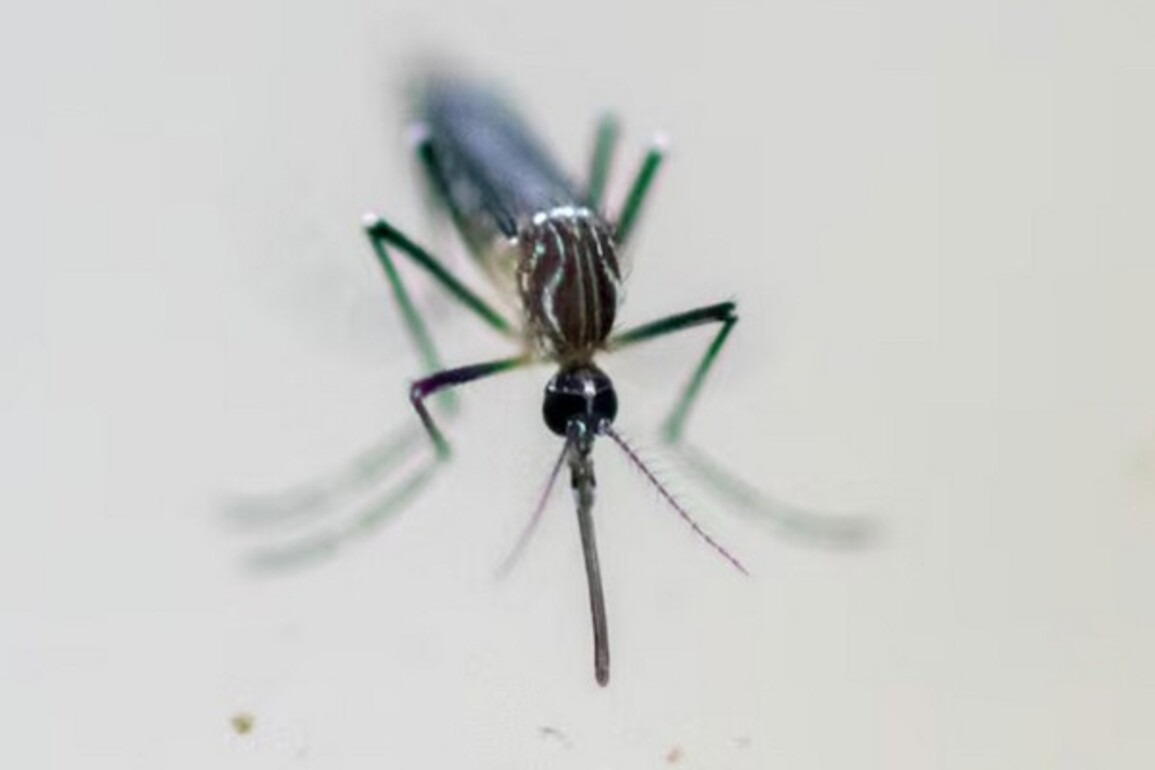 Italy records 10th death due to West Nile virus