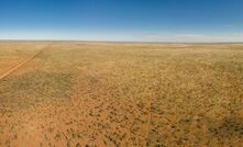 The Tanami Desert. Photo: Stephen Ridgway