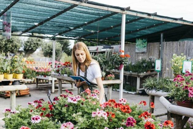 Family sells Scottish garden centre after 205 years at helm - The Herald