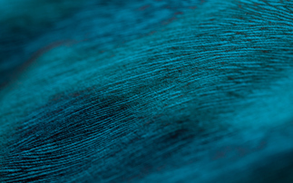 Fossil-based fibres drive up fashion industry emissions for second consecutive year