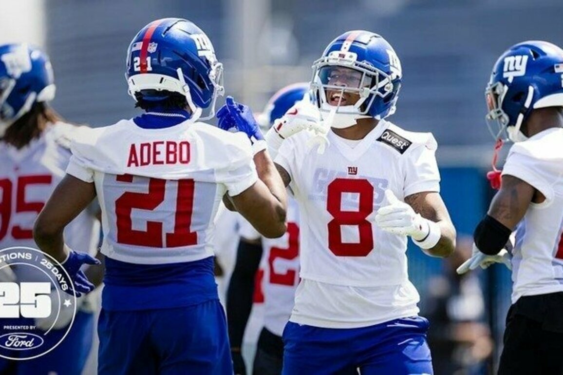 25 Questions in 25 Days: Potential first-time Pro Bowlers