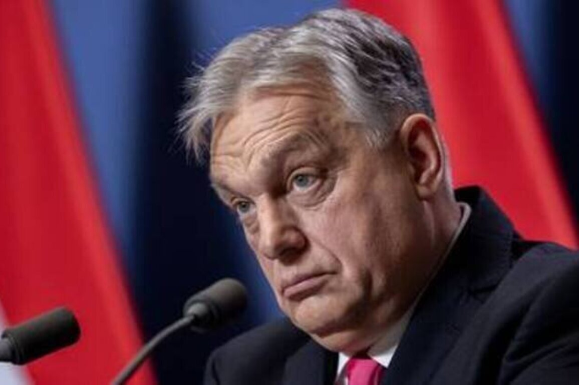 Brussels and Kiev have declared war on Hungary - Orban