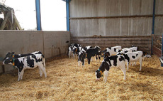 Good hygiene protocols in the rearing stage