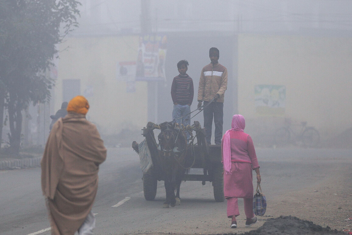 Punjab, Haryana record rise in minimum temperatures; Firozpur coldest at 8.2C, Mahendragarh at 8.9C: IMD
