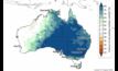  The BOM spring outlook is for wetter than average conditions. Image courtesy BOM.