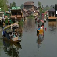 Tourists call Kashmir 'heaven on earth', praise safety and hospitality during Dal Lake visits