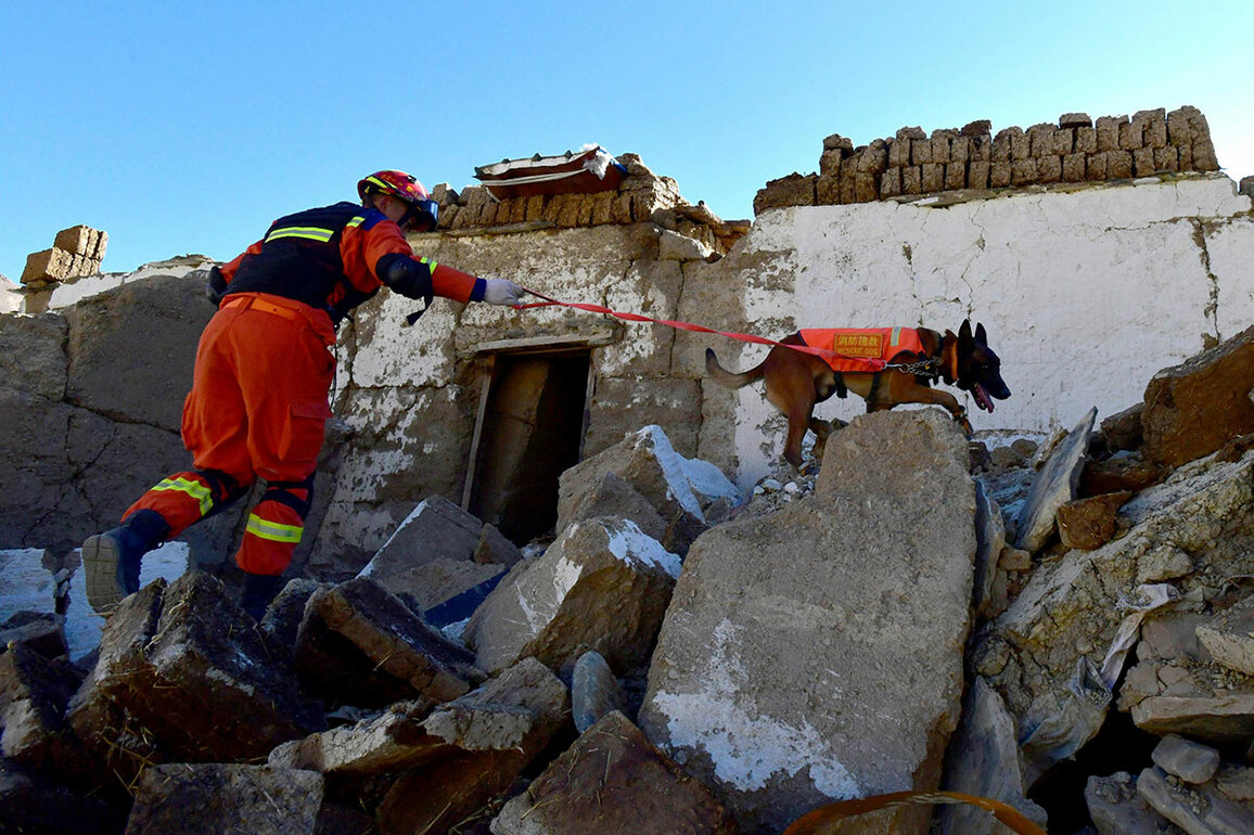 Earthquake of 4.5 magnitude jolts Tibet