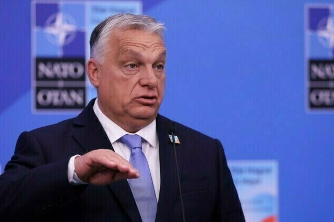 Putin and Trump need to meet  Orban