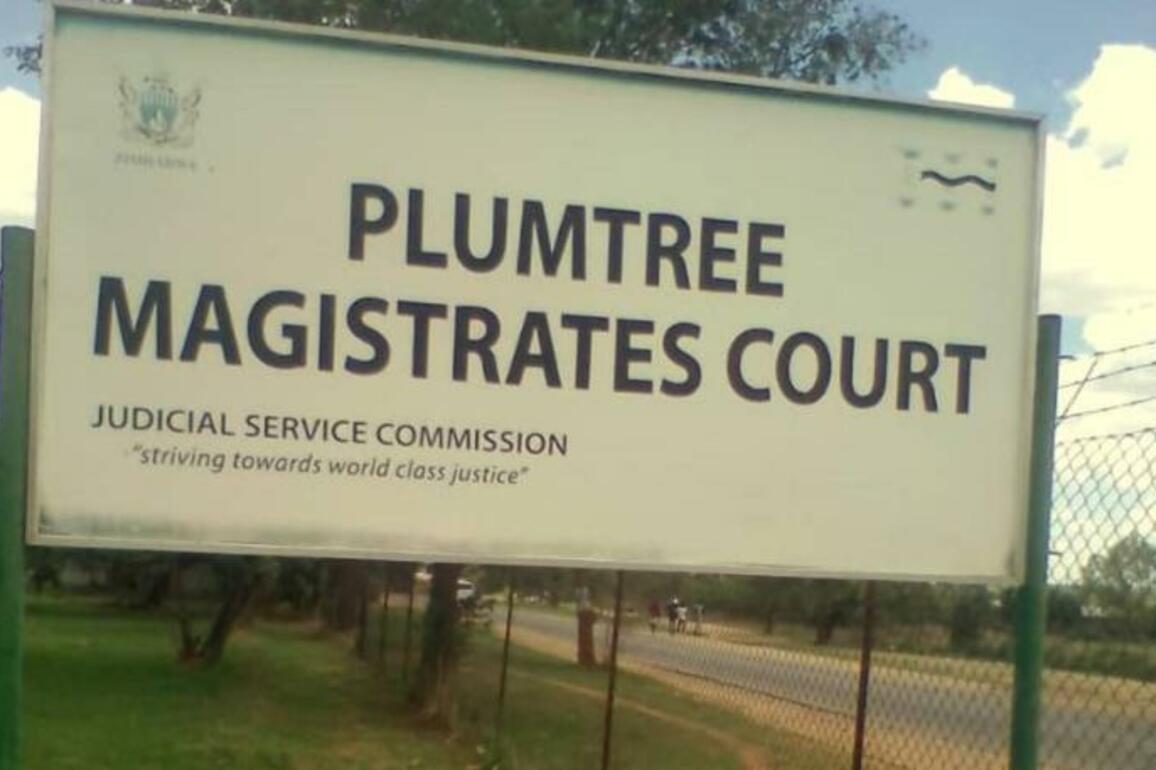 Mentally ill man rapes villager -  Bulawayo24 News