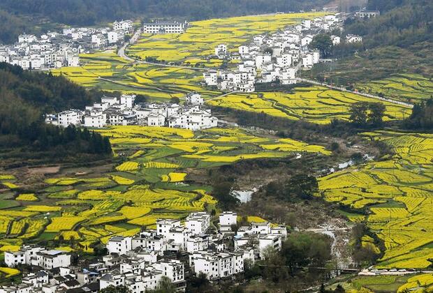 Rural revitalization composes symphony of ecology, culture in east China county