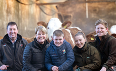 Newbiemains Simmental herd thrives on Solway coast in Dumfriesshire   