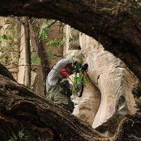 Archaeologists in Mexico Discover Ancient Rock Art During Rail Project