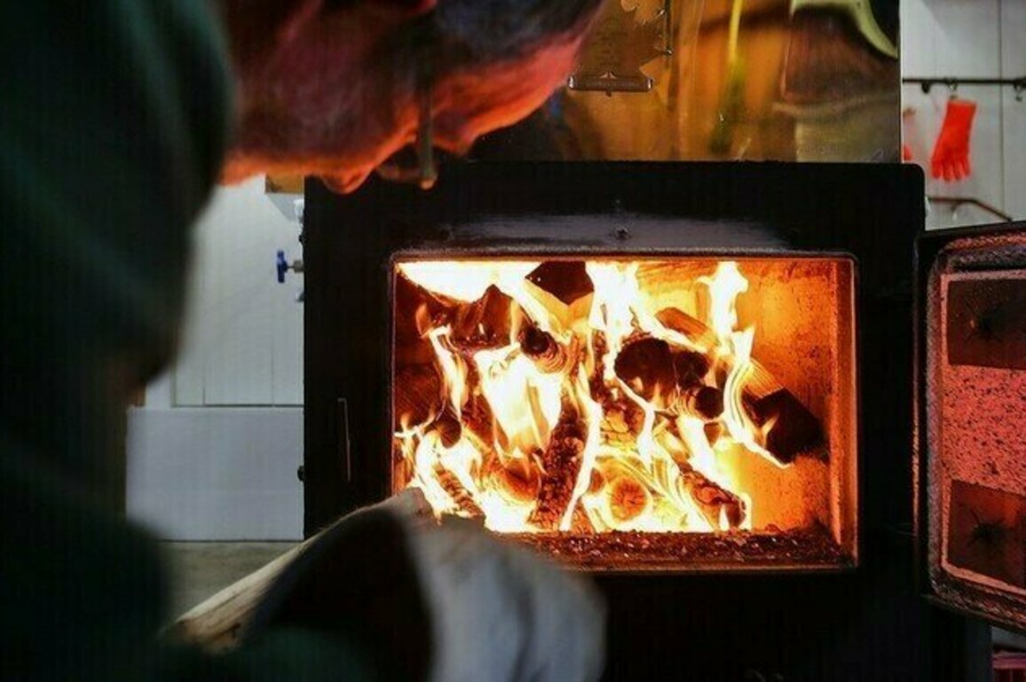 Slovaks will be forced to heat with wood due to EU policies  Fico
