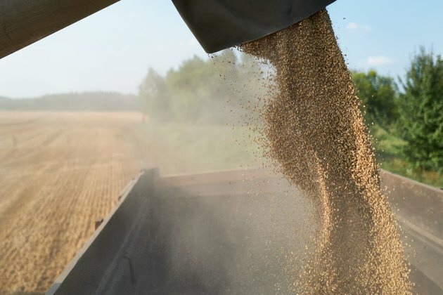 EU country resolves grain dispute with Ukraine Reuters