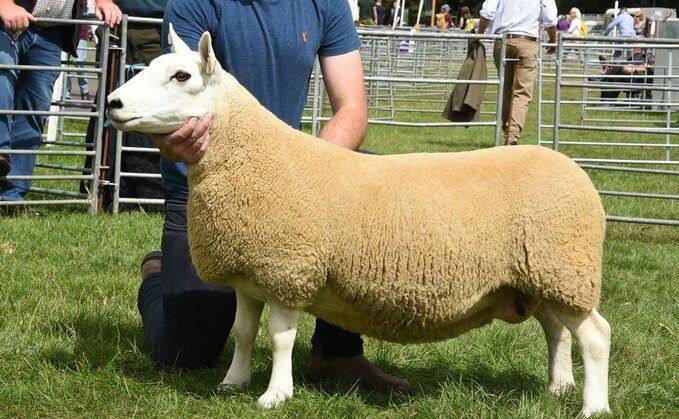 South Country Cheviot leads Border Union