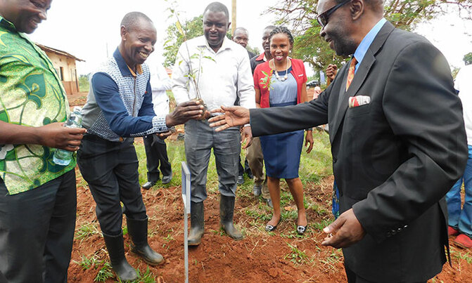 Kira municipality embraces tree planting campaign Kira municipality embraces tree planting campaign