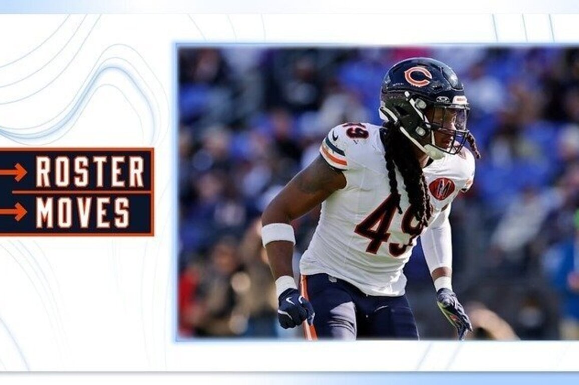 Roster Moves: Chicago Bears designate Edmunds for return