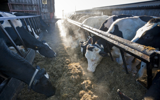 The untapped investment case for curbing methane from agriculture