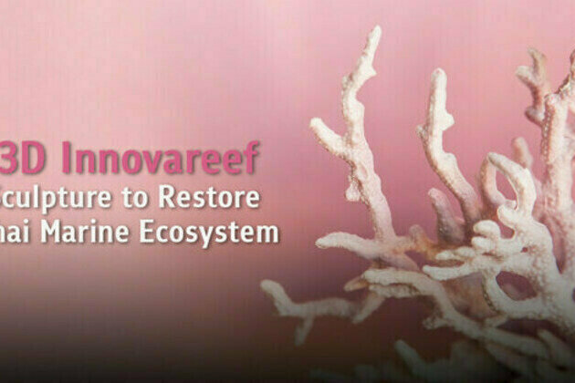 3D Innovareef: Sculpture to Restore Thai Marine Ecosystem