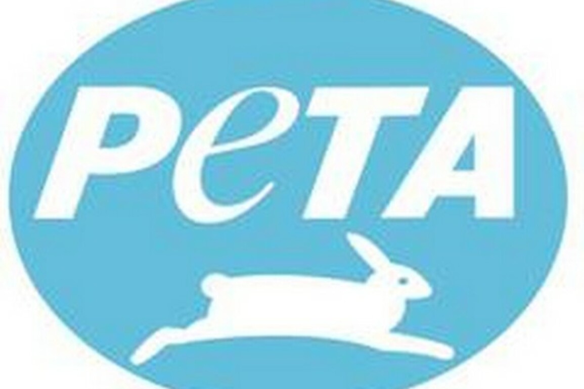 PETA India urges Maha govt to ban aggressive foreign dog breeds after a recent pit bull attack on minor in Mumbai