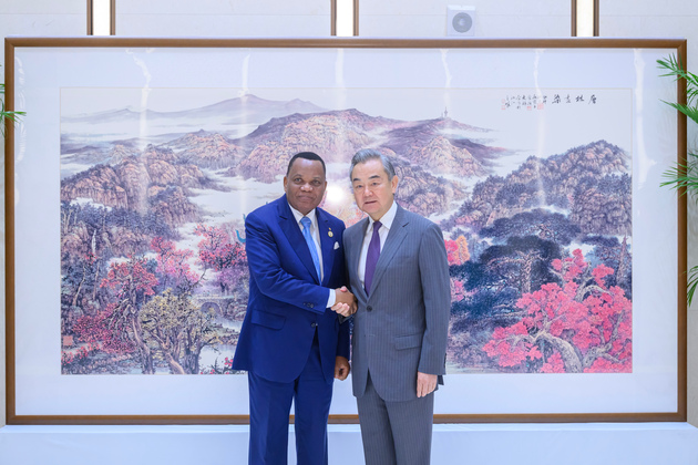 CHINA-HUNAN-CHANGSHA-WANG YI-REPUBLIC OF CONGO-FM-MEETING (CN)