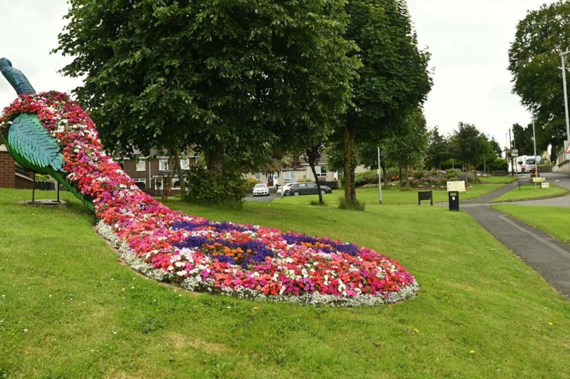 Community spirit blossoms in blooming marvellous Donaghmore