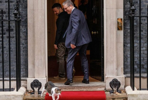 Downing Street&#039;s chief mouser snubs Zelensky