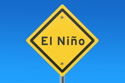 Of Anchovies and Blueberries – why El Niño matters