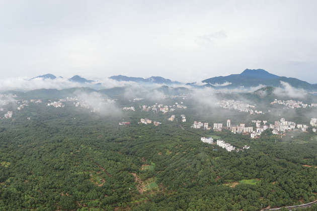 LensToLens | Chinese lychees captivate Dubai