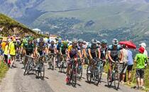 Diseased cows cause Tour de France route to be changed 