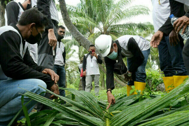 Golden Agri-Resources introduces Sawit Terampil to enhance agricultural practices among farmers