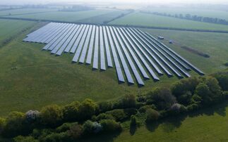 Blenheim Palace Estate cuts ribbon on 20-acre solar farm