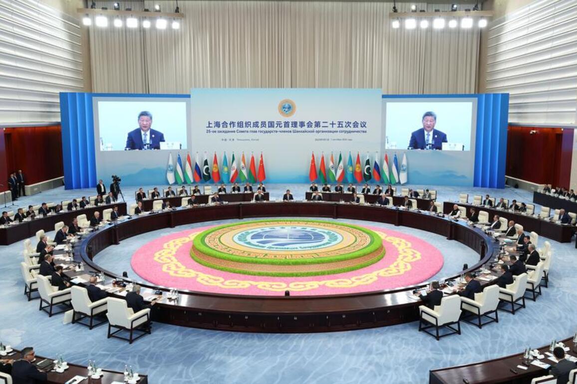 Xinhua Commentary: Sovereign equality is anchor of fairer global governance