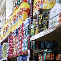 Consumer cos results to improve in 2nd half of FY26 on festive demand, GST reforms: Report