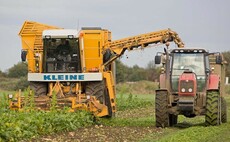 Beet prospects uncertain but no easy alternative options