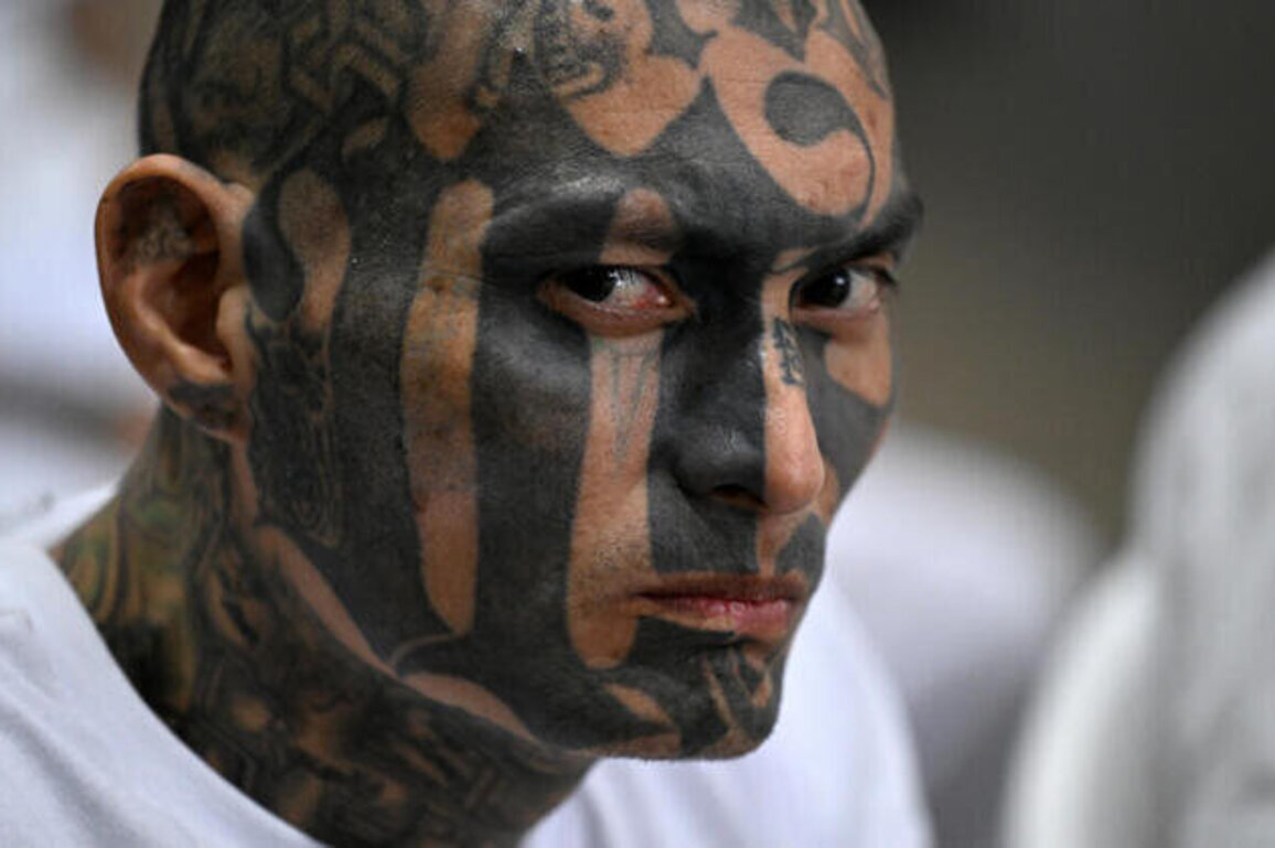 Mass MS-13 trial held at El Salvador mega-jail