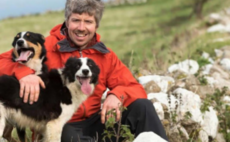 In your field: Dan Jones - "The loss of a sheepdog is heartbreaking. I recently lost my trusted collie, Blaze... We had built a trusted bond over countless hours of shared experiences"