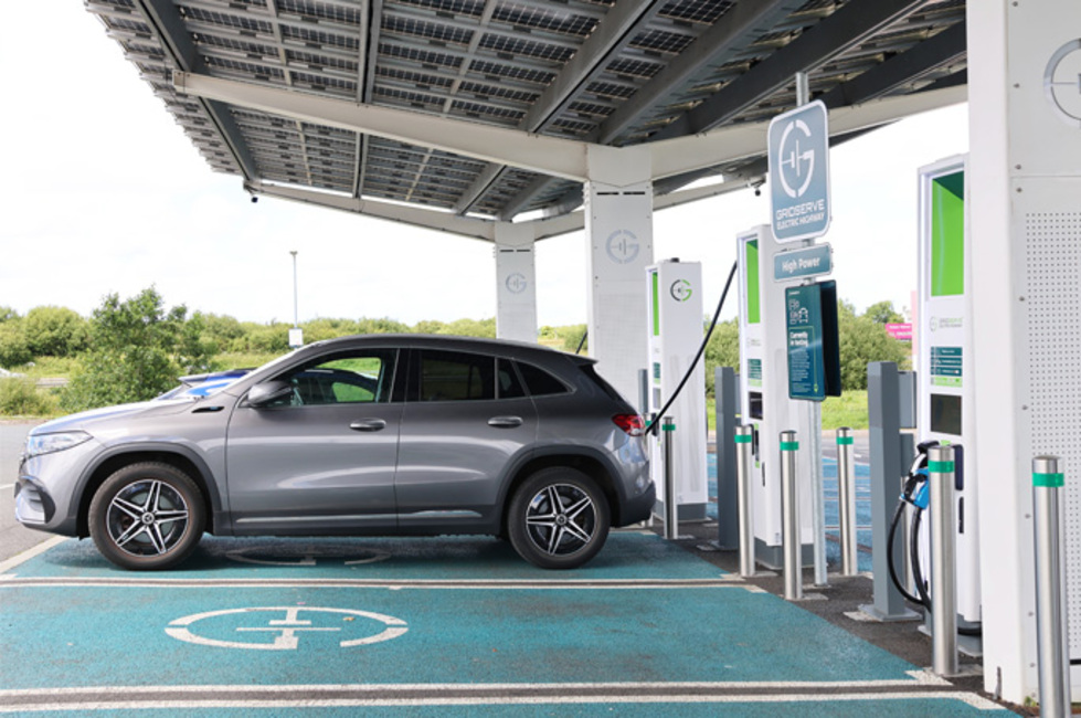 Amani A / Shutterstock.com