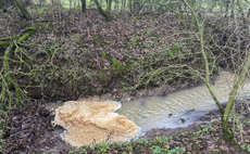 'Nature is a pre-requisite of prosperity': Can the government turn the tide for England's deteriorating natural world?