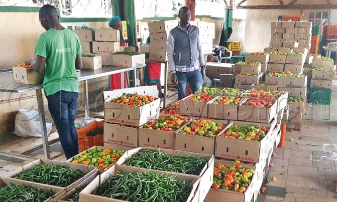 Get new markets, businesses urged Get new markets, businesses urged