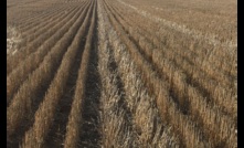  New research into stubble heights and how it can impact profit.