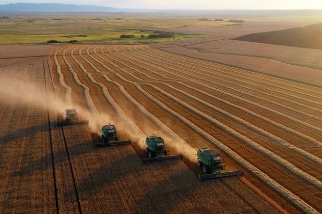 Russia set to reap largest-ever wheat harvest