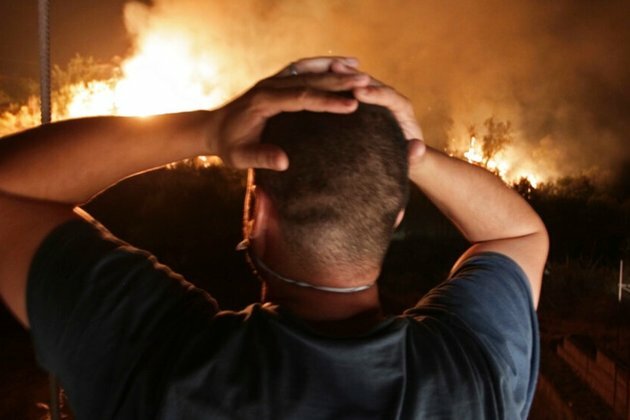 Algeria Forest Fires Leave at Least 37 Dead